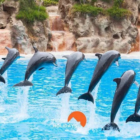 Apartmán #097 Casa Antonieta 2 By Holidays *