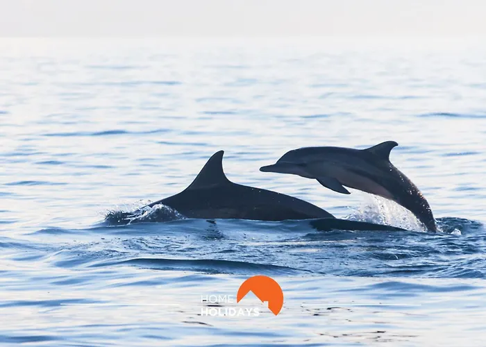 #097 Casa Antonieta 2 By Holidays 아파트 알부페이라