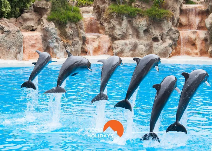 아파트 #097 Casa Antonieta 2 By Holidays *