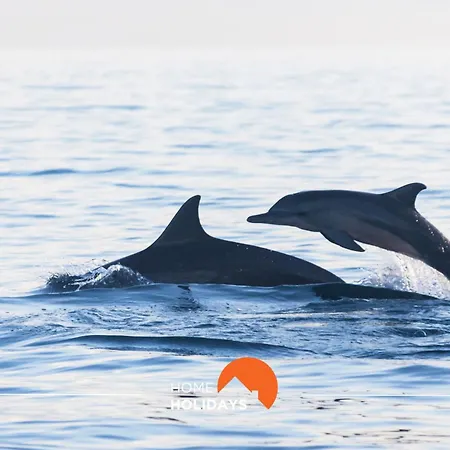 #097 Casa Antonieta 2 By Holidays 公寓 阿尔布费拉